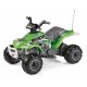 Quad Corral Bearcat 6v Peg Perego IGED1165